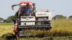 Lack of postharvest facilities could lower rice prices — DA chief