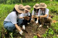 GNPD college scholars plant bamboo seedlings in Malinta Creek, Abucay, Bataan during World Bamboo Day on 18 September.