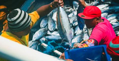 Northern Samar tuna industry gets food firm backing