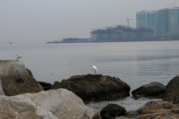 Ecosystems at risk: Safeguard our habitats from changing weather