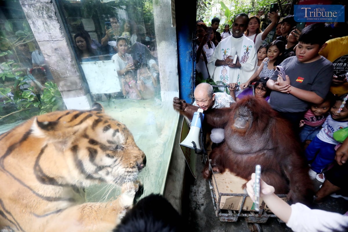 WORLD ANIMAL DAY CELEBRATED AT MALABON ZOO