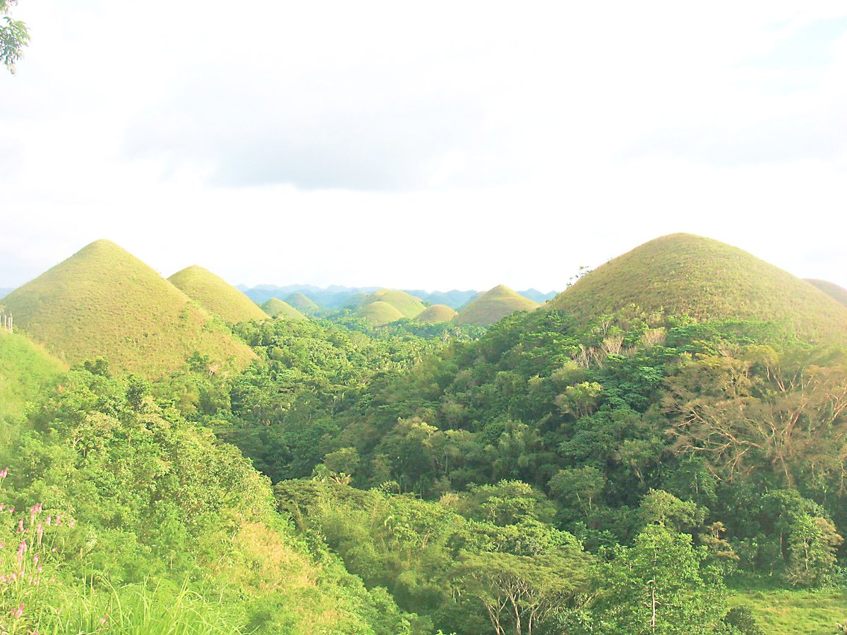 chocolate Hills in Bohol.