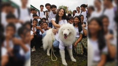 Samantha Panlilio makes a bold move