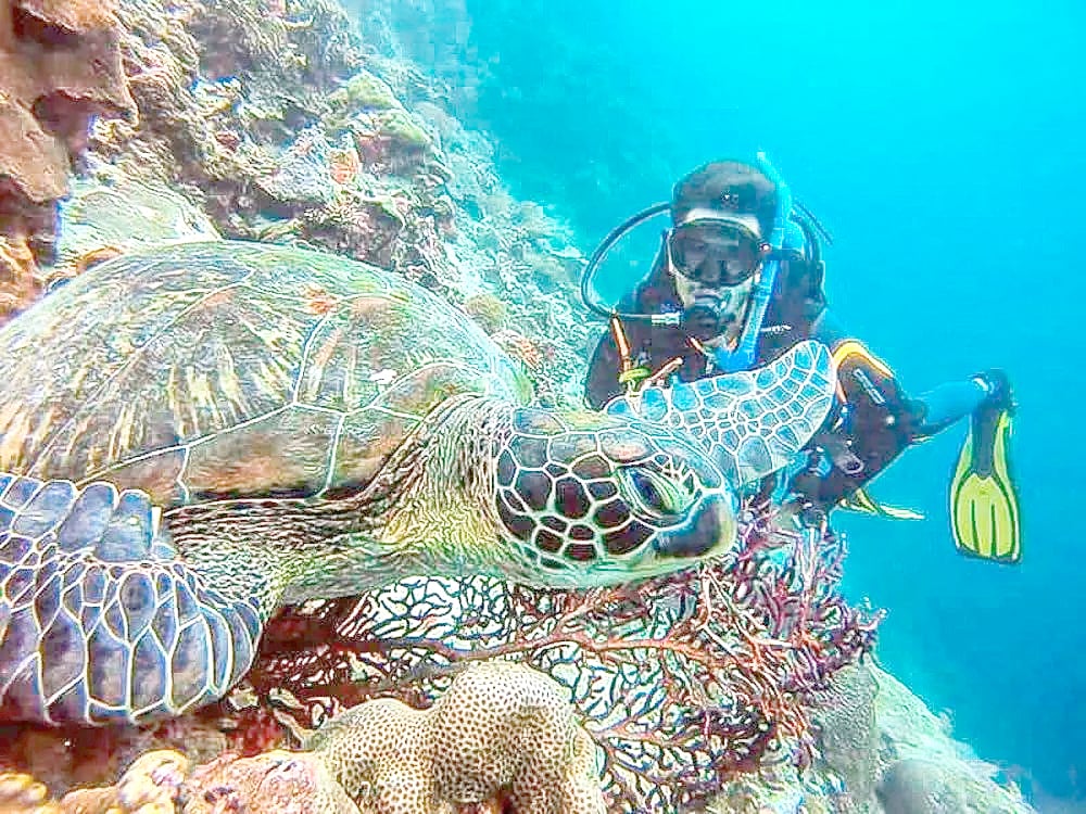 Diving spots in Cebu Island.