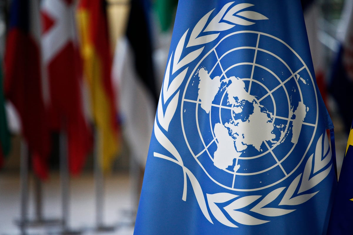 UN Month 2024 activities open