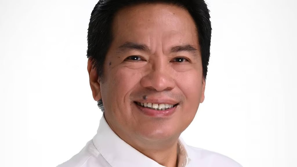 Las Piñas councilor faces daunting task 