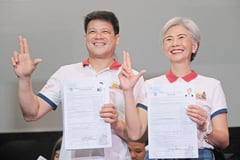 Lacuna, Servo file candidacies
