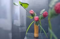 Freestyle by Nikki Chato. Protea, Cocoloba Uvifera, Sword Fern. Bamboo container.