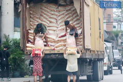 LTO orders assistance for rice cargo trucks amid food emergency
