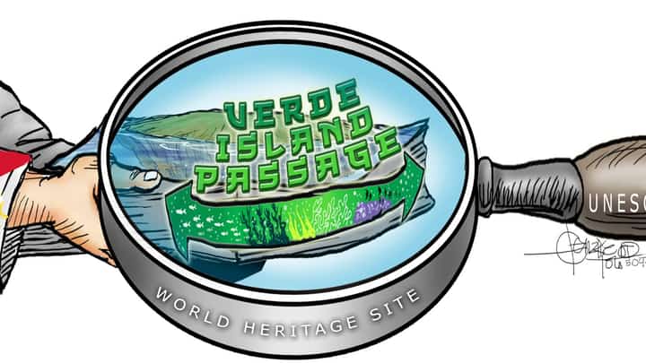 Verde Island Passage designation as World Heritage Site apt