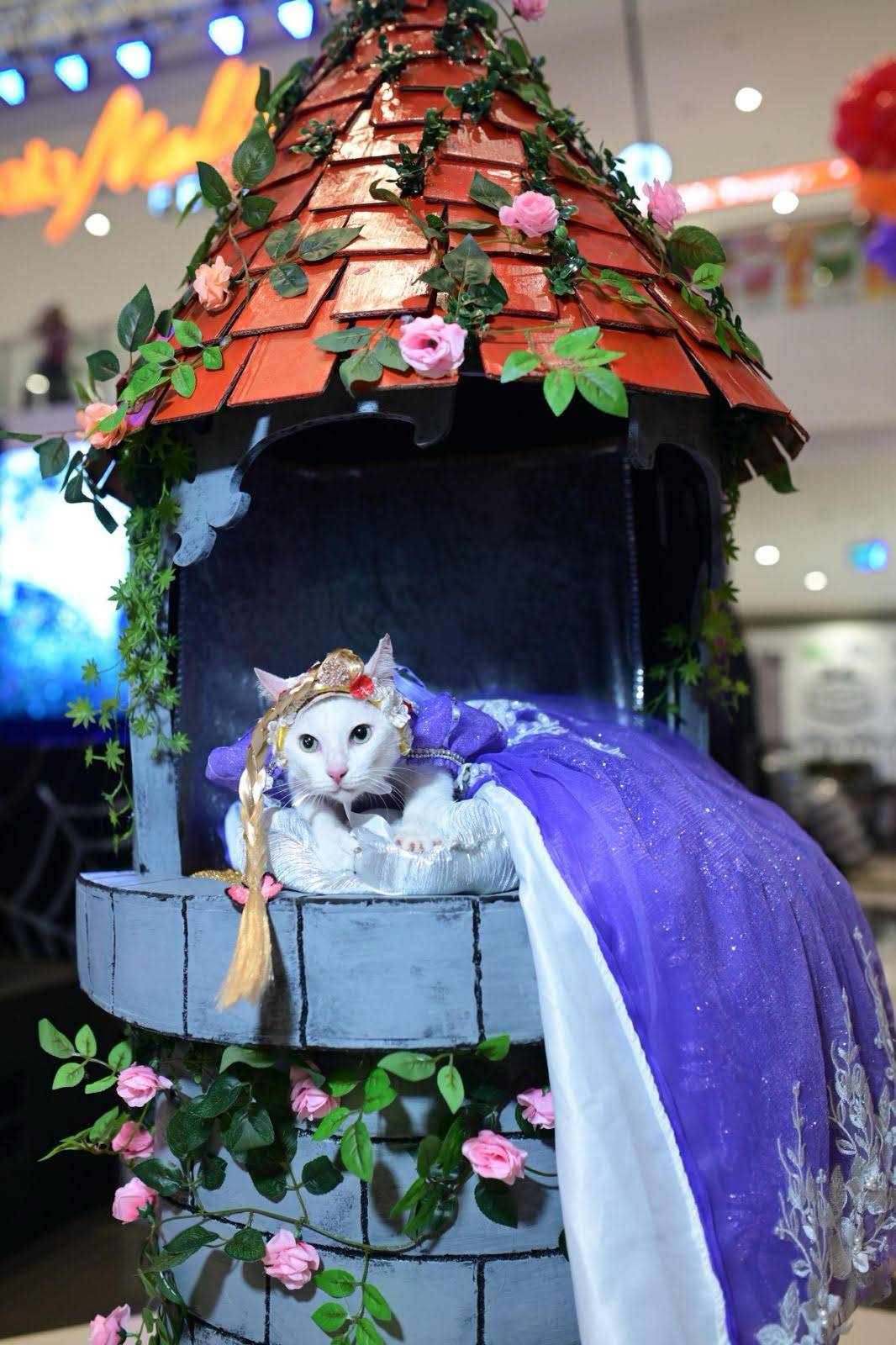 Cats got our hearts, too.