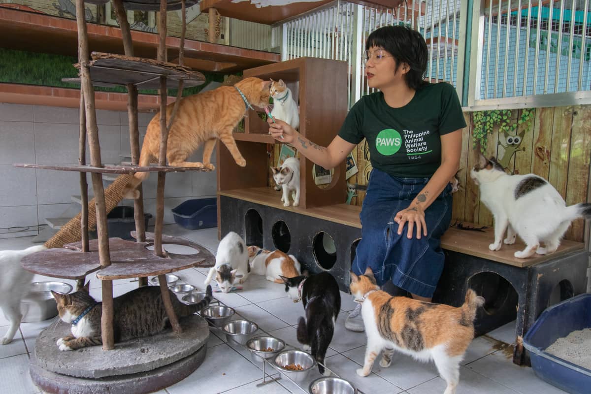 A lady and the cats.
