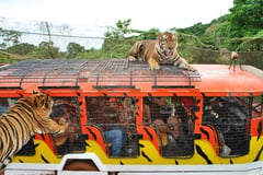 Subic zeroes in on animal conservation efforts