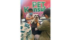 Pet events highlight responsibility and kindness