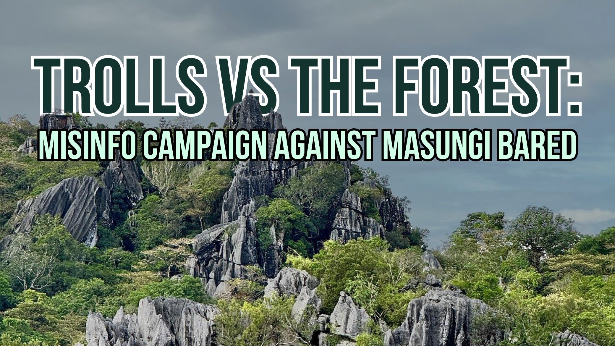 Trolls versus the forest: Misinfo campaign against Masungi bared