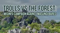Trolls versus the forest: Misinfo campaign against Masungi bared