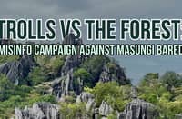 Trolls versus the forest: Misinfo campaign against Masungi bared