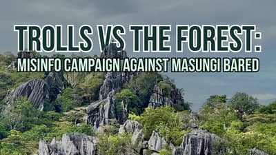 Trolls versus the forest: Misinfo campaign against Masungi bared