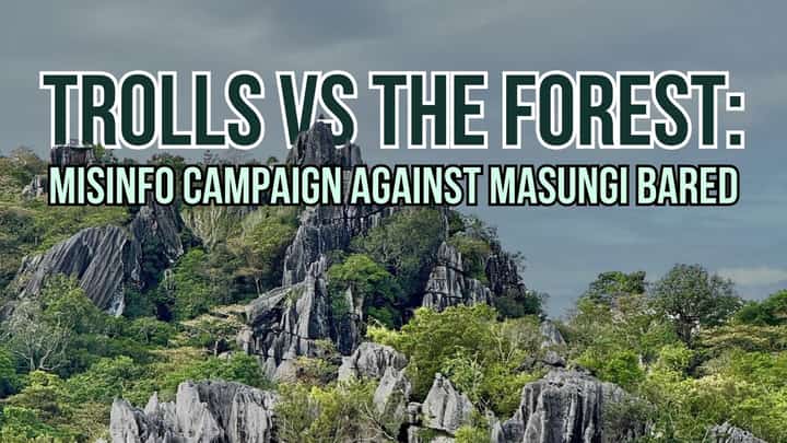 Trolls versus the forest: Misinfo campaign against Masungi bared