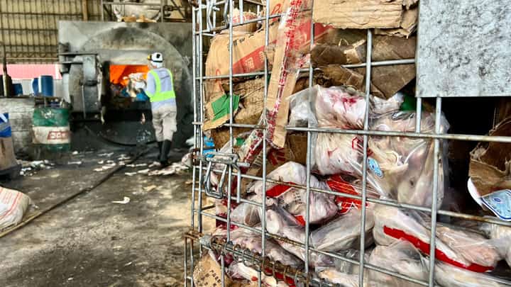 NBI destroys P200M smuggled meat