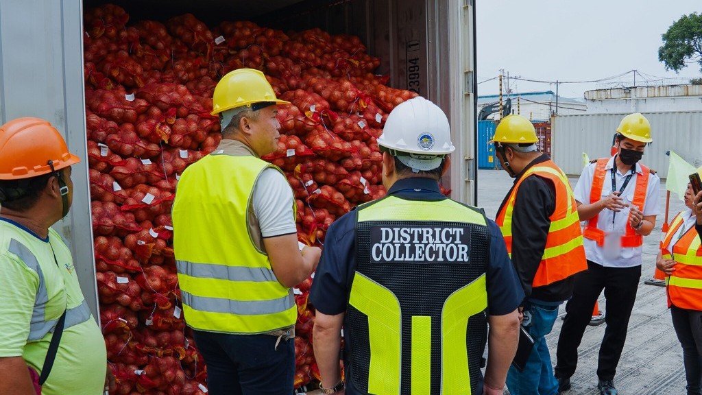 BoC seizes P2-M smuggled onions
