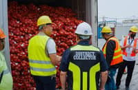 BoC seizes P2-M smuggled onions