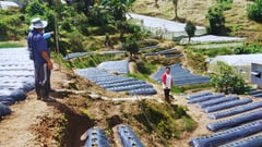 Smart agriculture for Baguio farmers