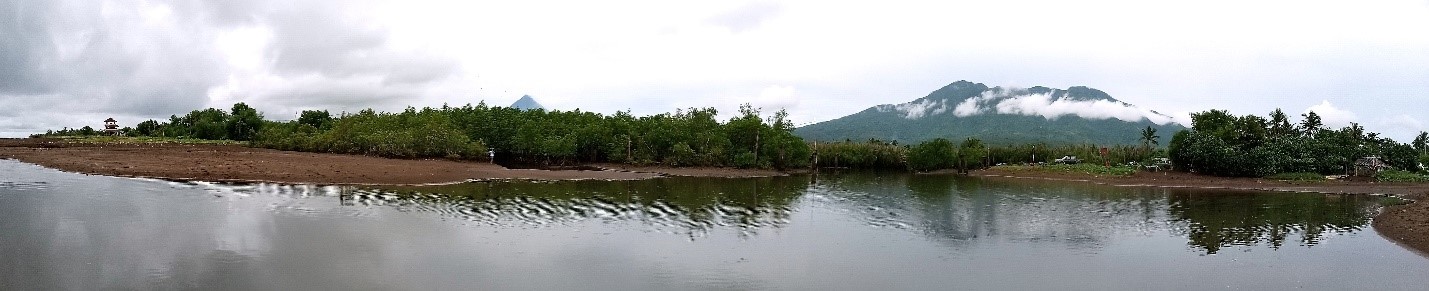 LOOK: Estuary entry point to Corangon Marine Sanctuary, a key part of PGPC's ECO-STAR Program, protects Tiwi's coastal and marine ecosystems. | Photo courtesy of SM Investments