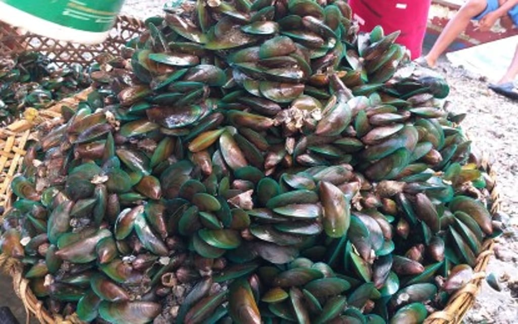 Red tide remains in VisMin waters