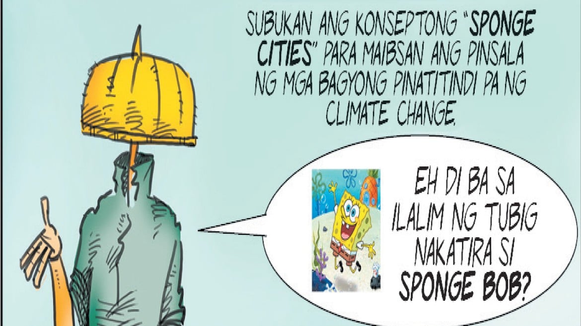 QUIPS | 12 October 2024