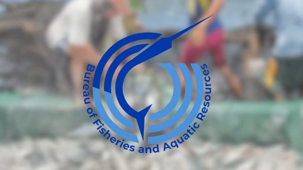 CoA awards BFAR highest audit rating for fiscal transparency