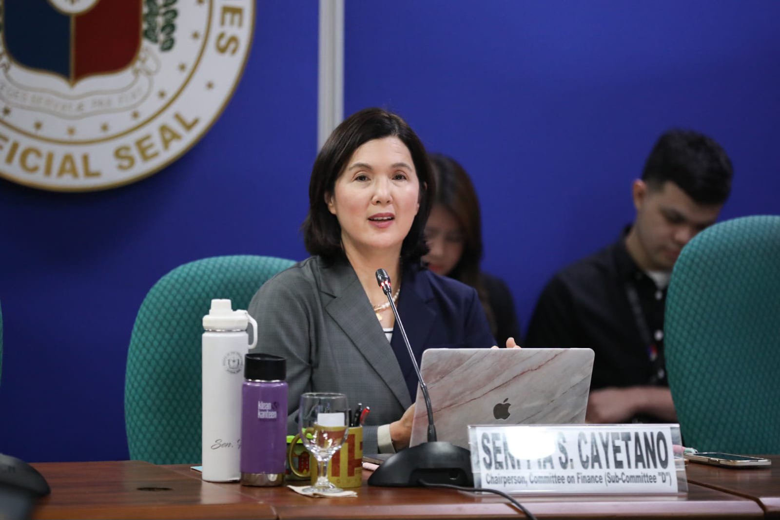 Green energy bid hinges on ERC action