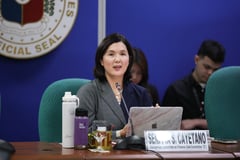 Green energy bid hinges on ERC action