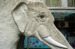 Elephant playground slides fan nostalgia for Taiwanese