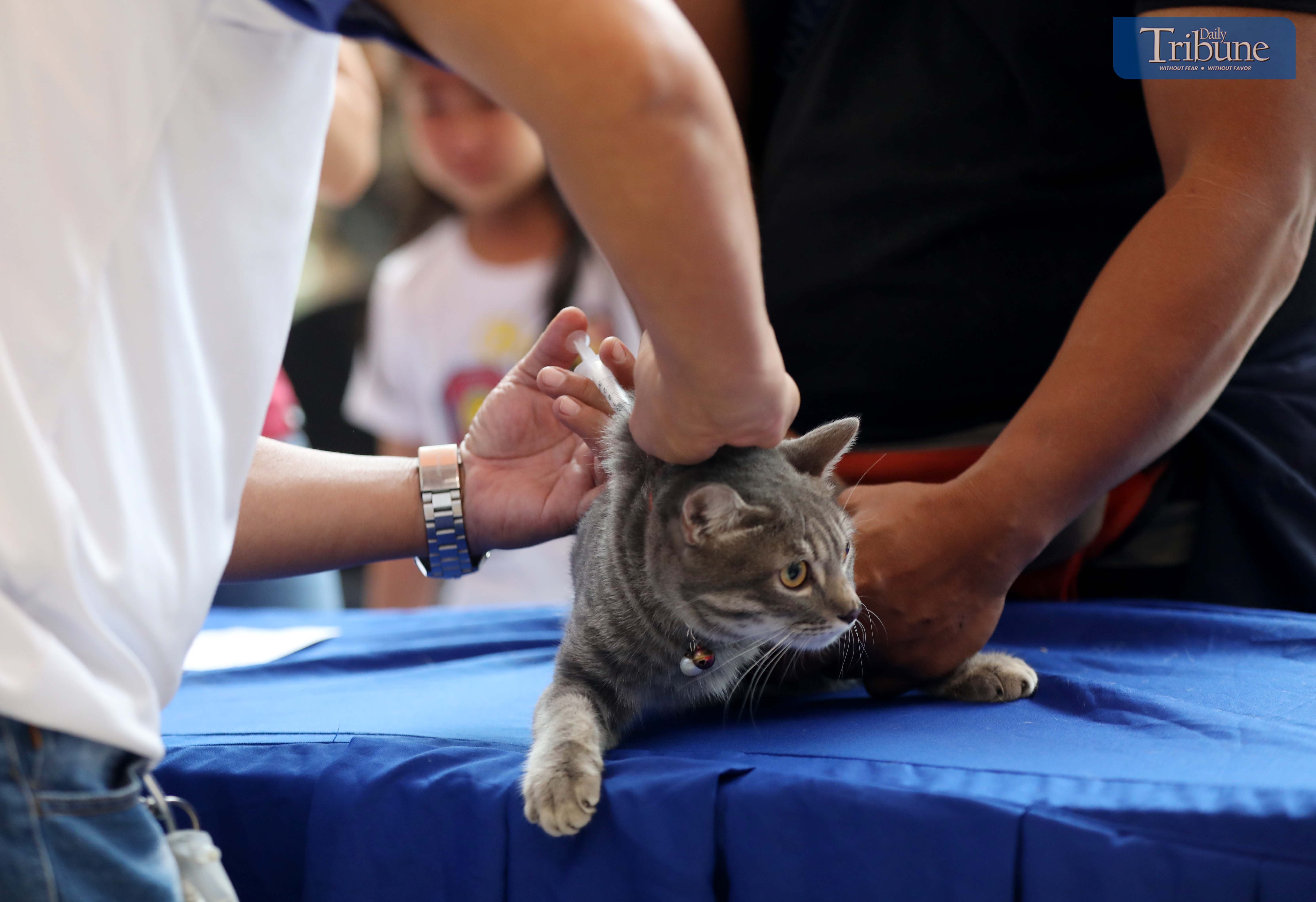 Free Pet vaccine   