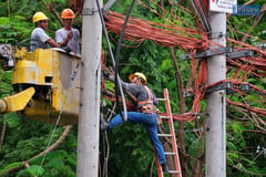 MERALCO VS ILLEGAL TAPPING