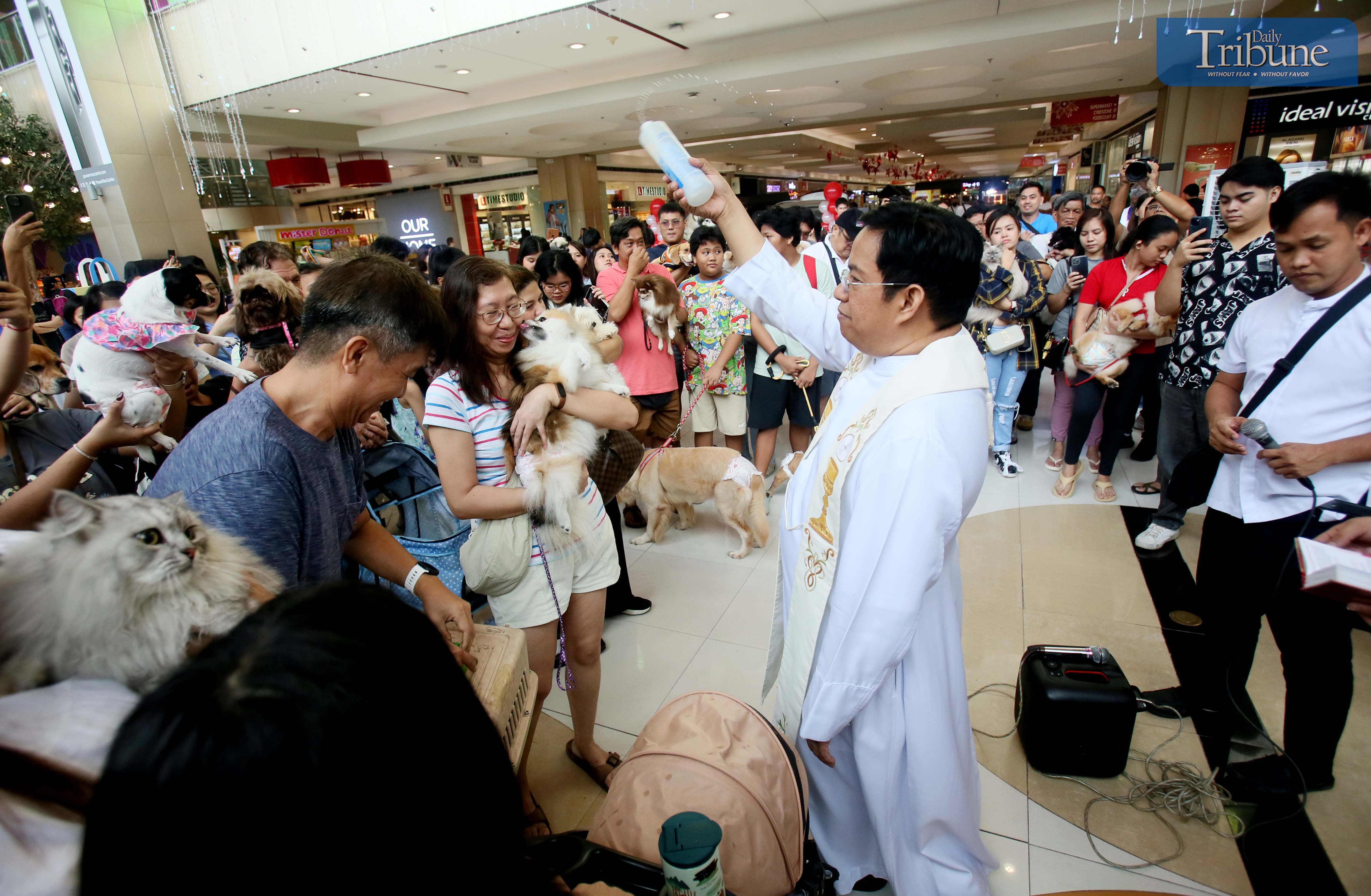 PRIEST BLESSES PETS