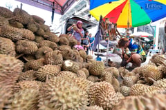 KING OF FRUITS
