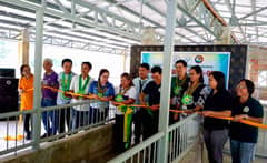 Albay farmers’ group receives ₱5.5M swine repopulation project