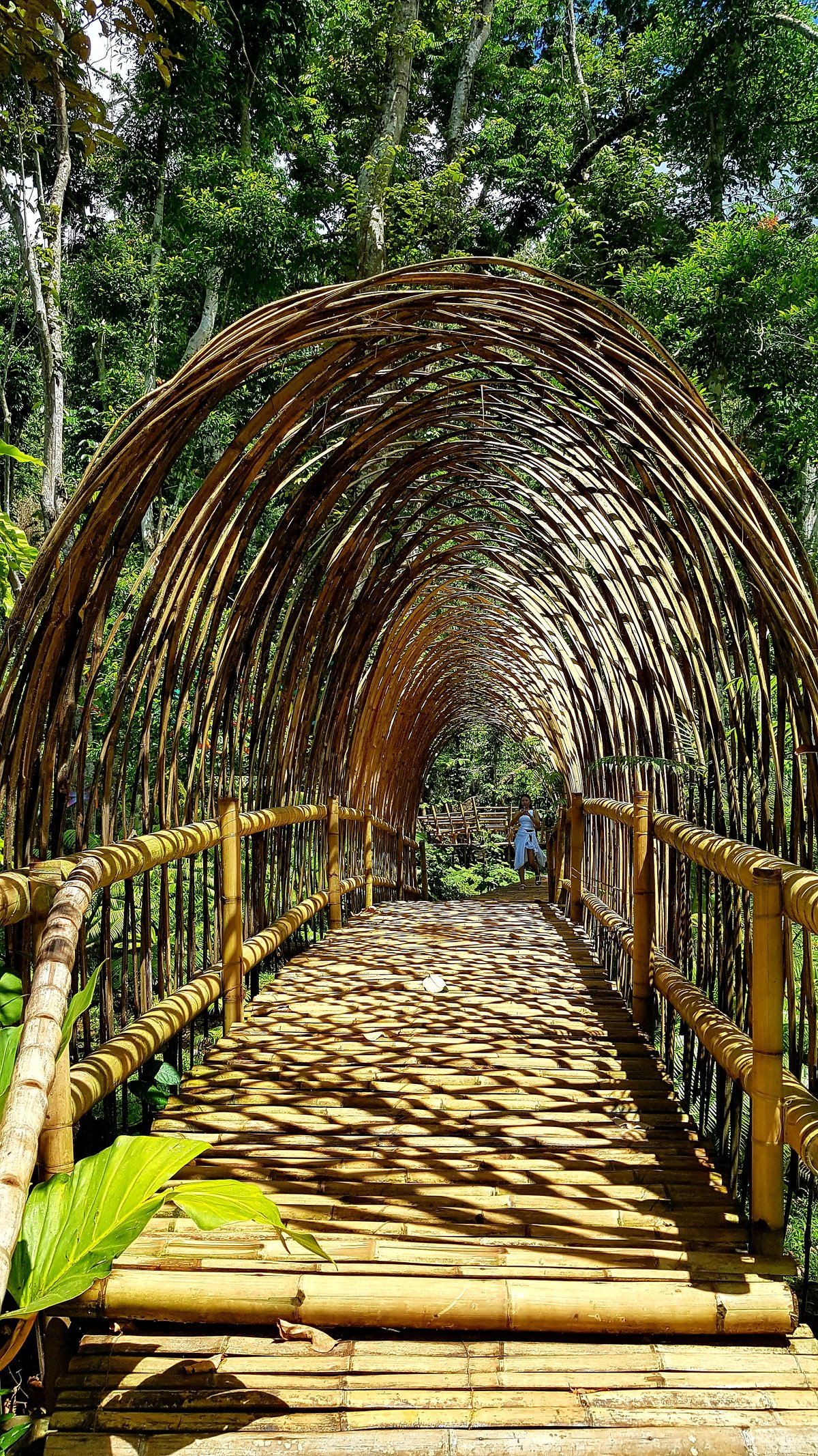 A pathway with arches.