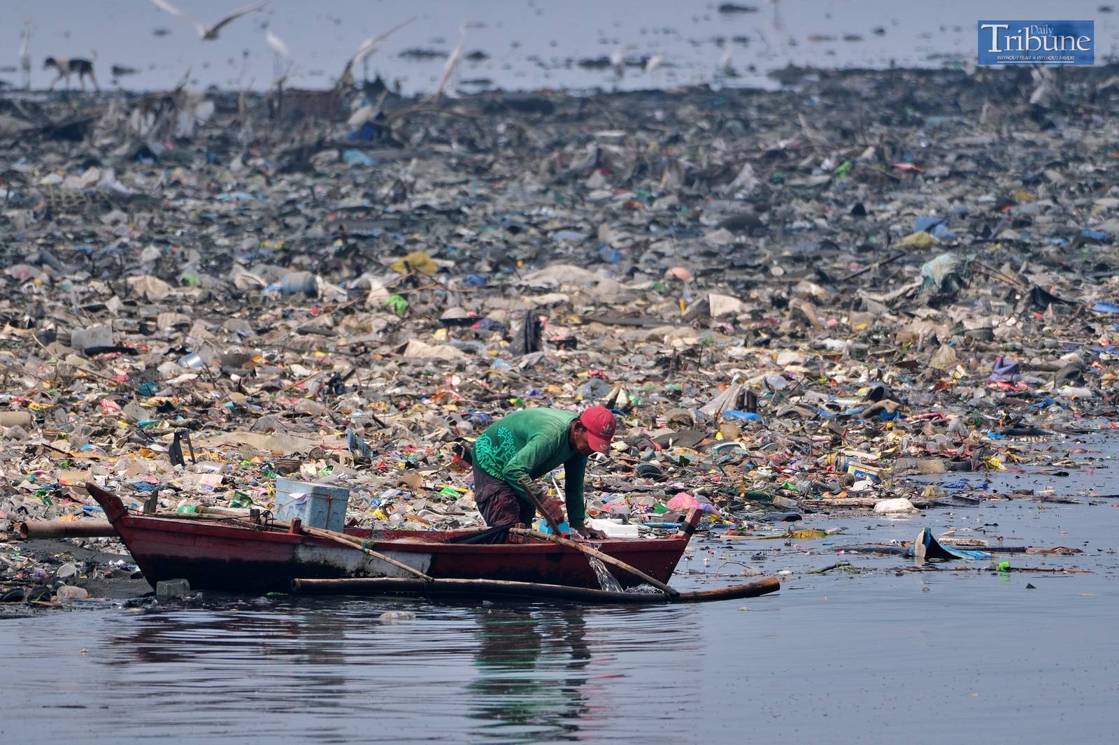 Manila Bay on 14 October.