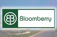 Bloomberry Resorts and Hotels Inc.