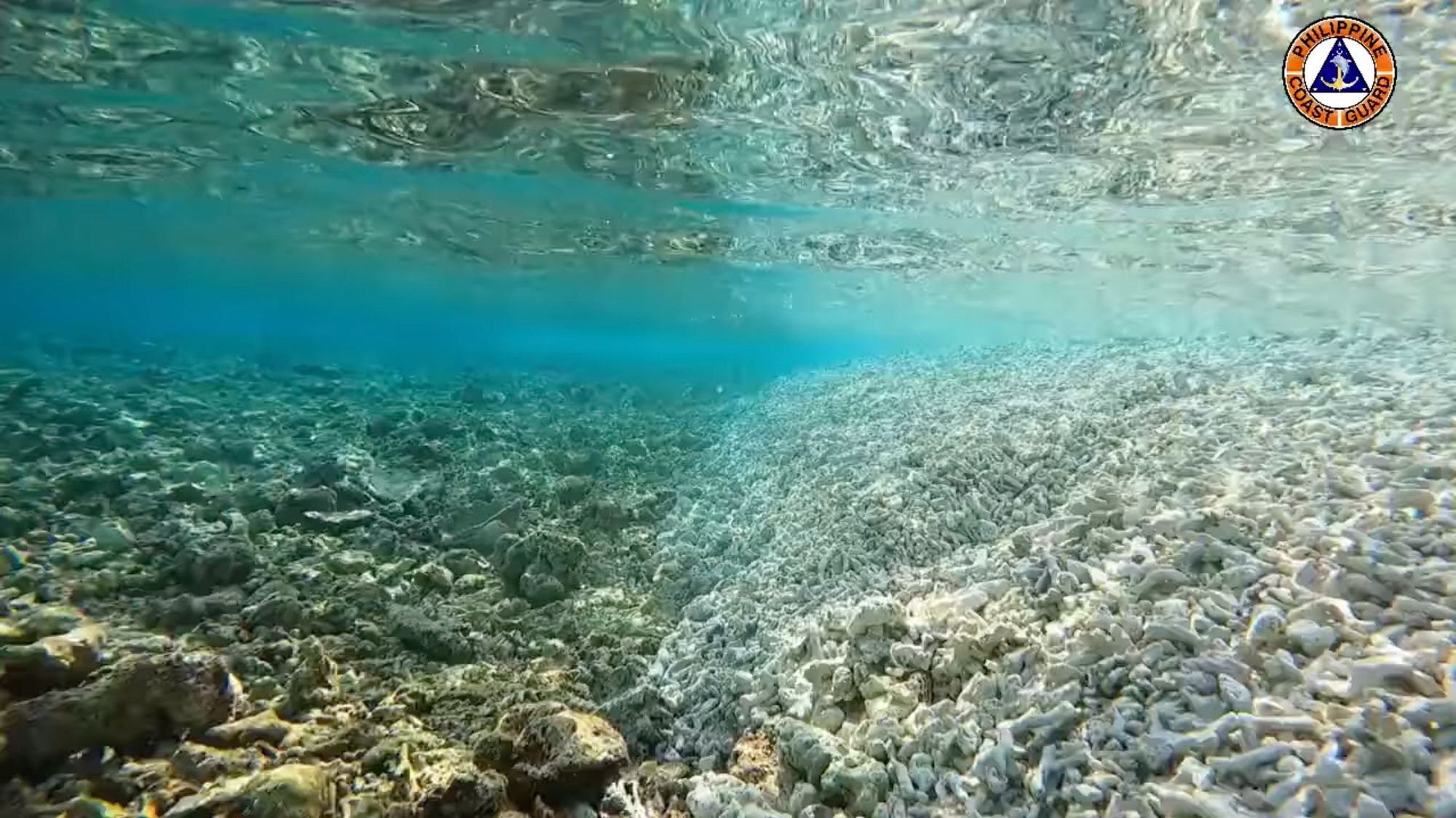 WPS marine ecosystem under threat — PCG