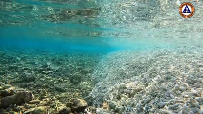 WPS marine ecosystem under threat — PCG
