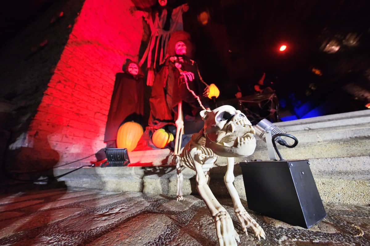 An animal spirit that could carry an eerie tune.