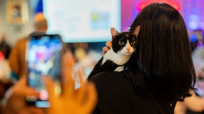 Purrfect Pairings: Hard Rock Cafe Manila Celebrates Global Cat Day