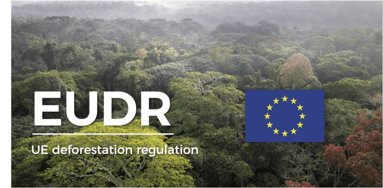 Readiness to comply with EU deforestation regulation requirements urged