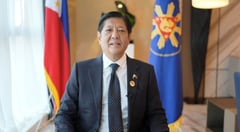 Political will drives trade, ecology push