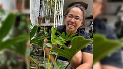 Athletes waging ‘green revolution’