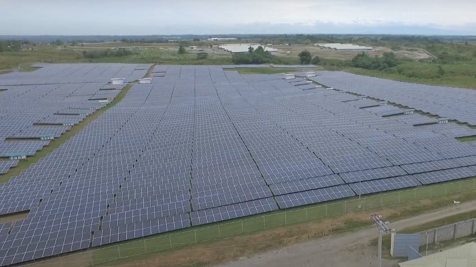 Green economy blooms with sustainability bonds